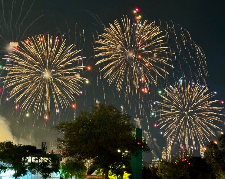  [서울일상] 여의도 국제 불꽃축제 직관후기 - N년차 직관러의 꿀팁, 샛강역 공략방법, 웨이팅 없이 편안하게 제시간에 방문해서 보기, 여의도 불꽃축제 도보 이동꿀팁