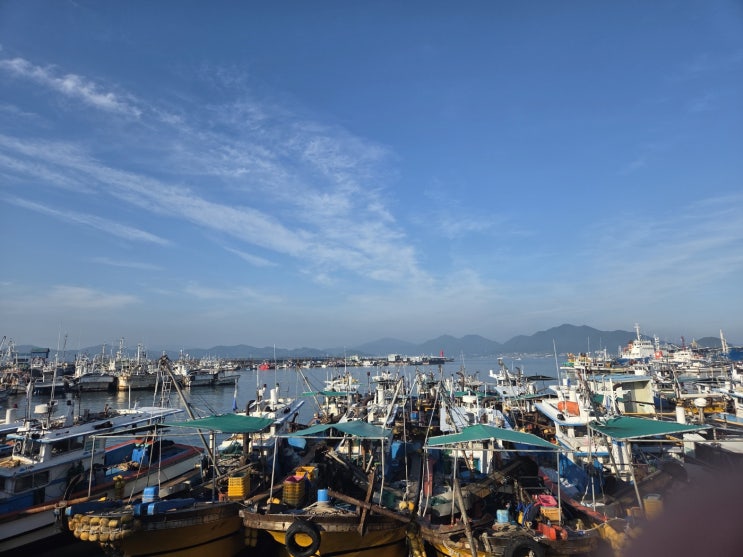  [대외활동] 수산물 원산지 표시 우수시장 콘테스트 심사(8/27~29)