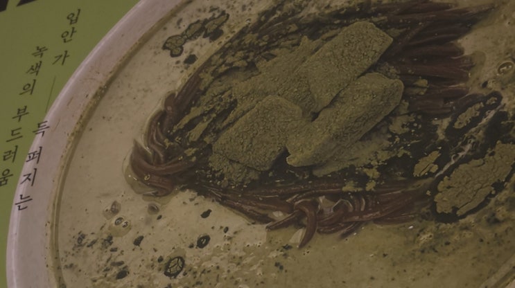  [강남] 메르밀 말차 콩국수 맛집 추천 (말차라떼 맛? 쓴 콩국수?)