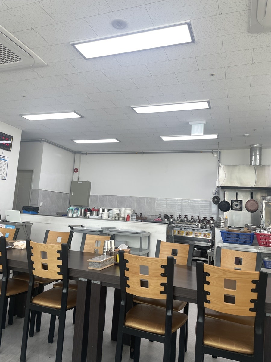 천년의황칠 사진 5