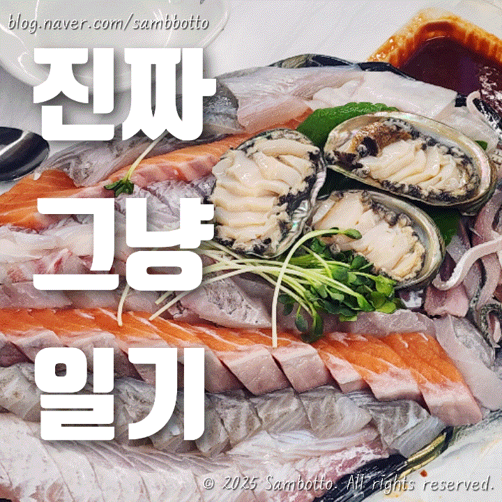  진짜 그냥 일기 | 한 주의 기록