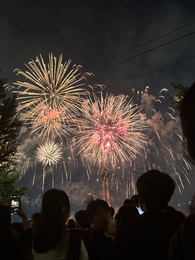2025 여의도 불꽃축제 이촌한강공원 명당 후기, 시야, 꿀팁 | 아침 8시 명당 확보