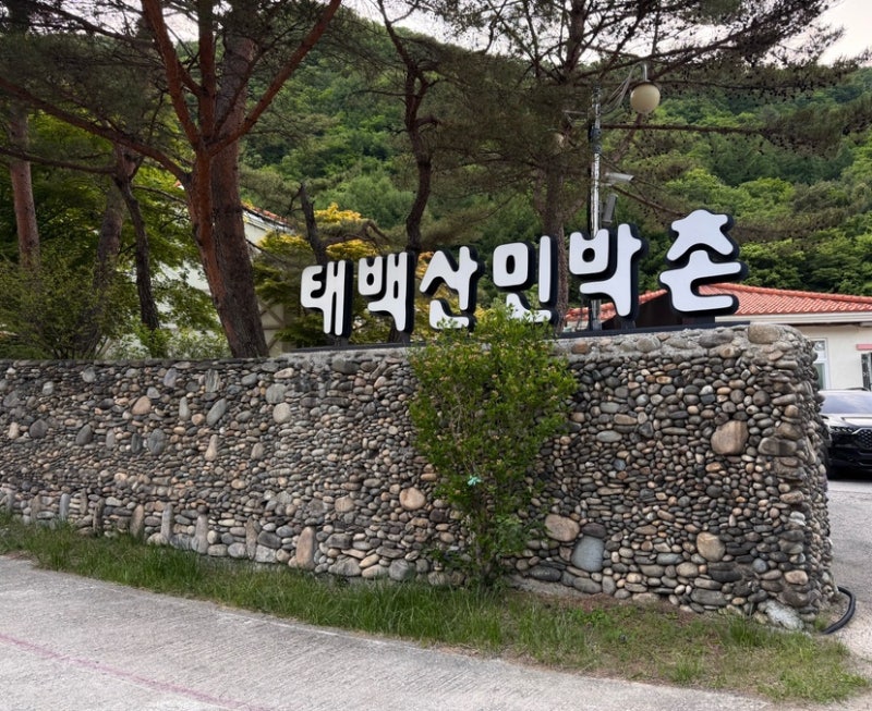 국립공원공단 민박촌_태백산민박촌 복층숙소 추천