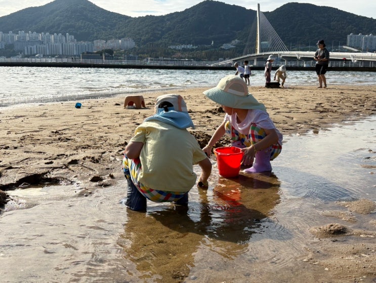  여수 웅천 친수공원 캠핑장 캠핑과 조개 캐기 (예약, 주차장, 배치도, 데크 명당, 바베큐)