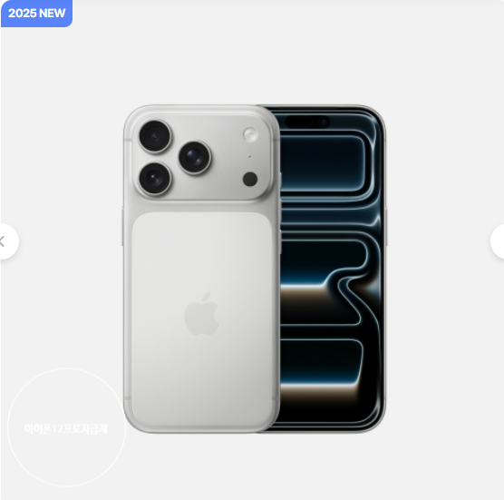  (4차예약) Apple 아이폰 17 프로 자급제 256GB 실버 MG8G4KH/A