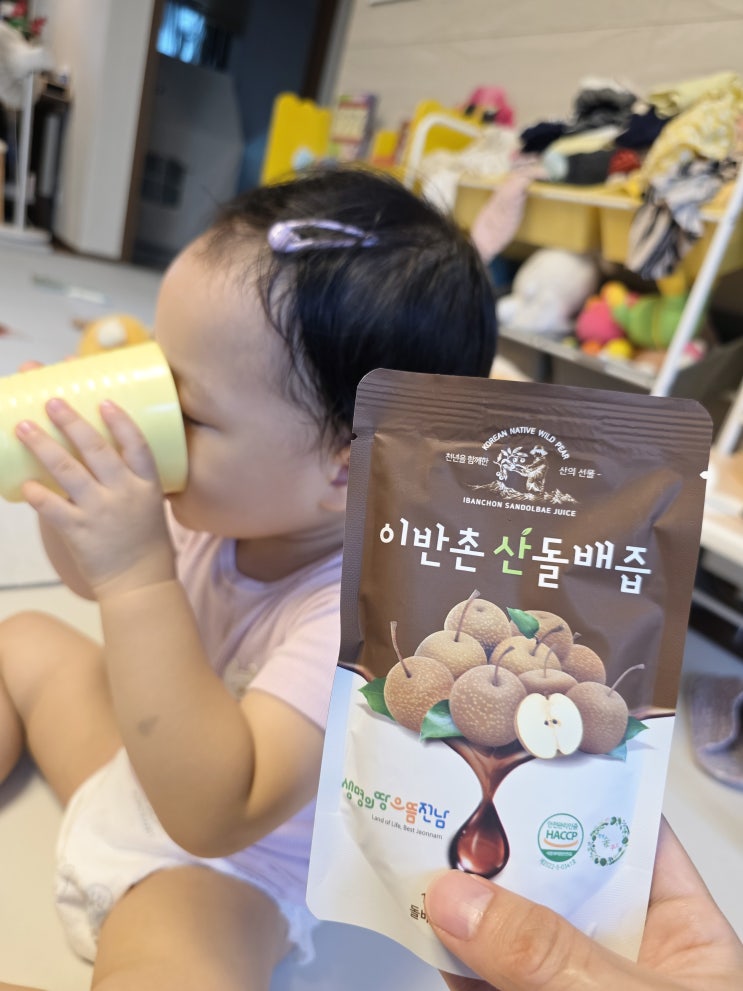  이반촌산돌배 즙 쌍둥이 육아 필수템! 환절기 배즙 쇼핑몰 정착 후기