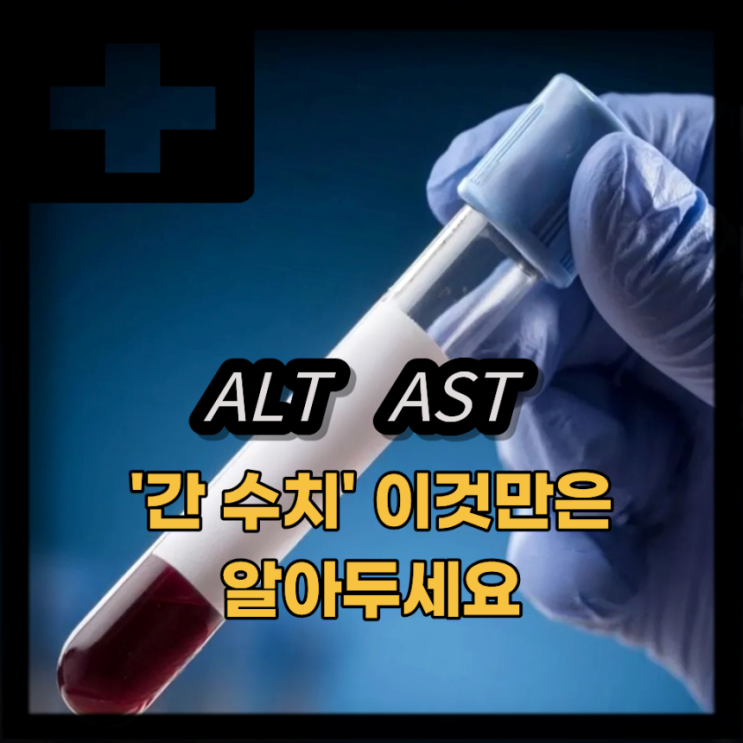  ALT AST 수치 : 간수치 정상범위 낮추는법