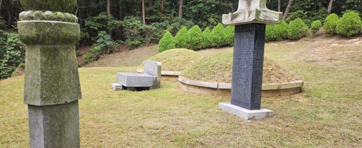  울산대공원내 봉분2기 40평 벌초제초대행("울산벌초대행")