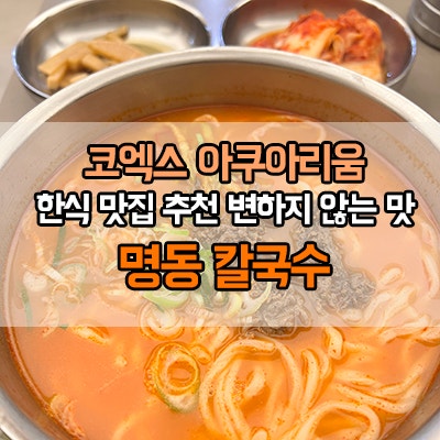 코엑스 아쿠아리움 맛집 명동 얼큰 칼국수 수제 왕만두