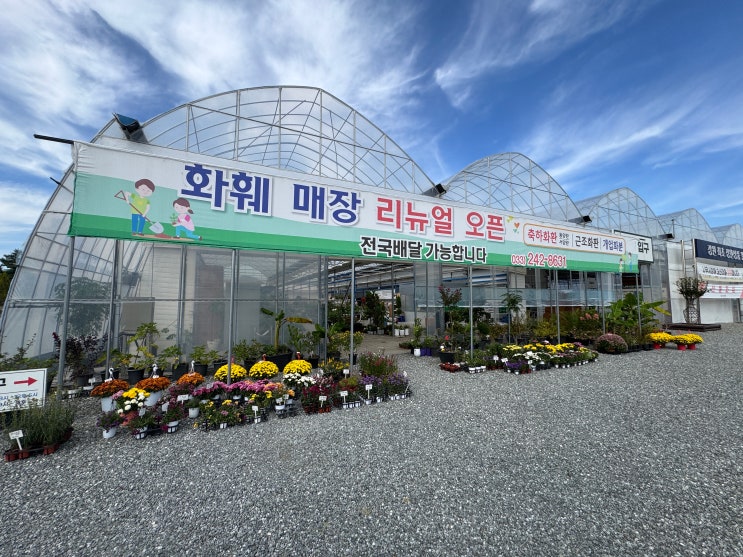  카페포레스트 뒤에 숨어있는 산림조합중앙회 나무전시판매장(춘천 나무시장) | 화분 화초 구매함
