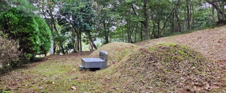  울산 두왕동 648-4 봉분2기 30평 벌초제초대행("울산예초대행")