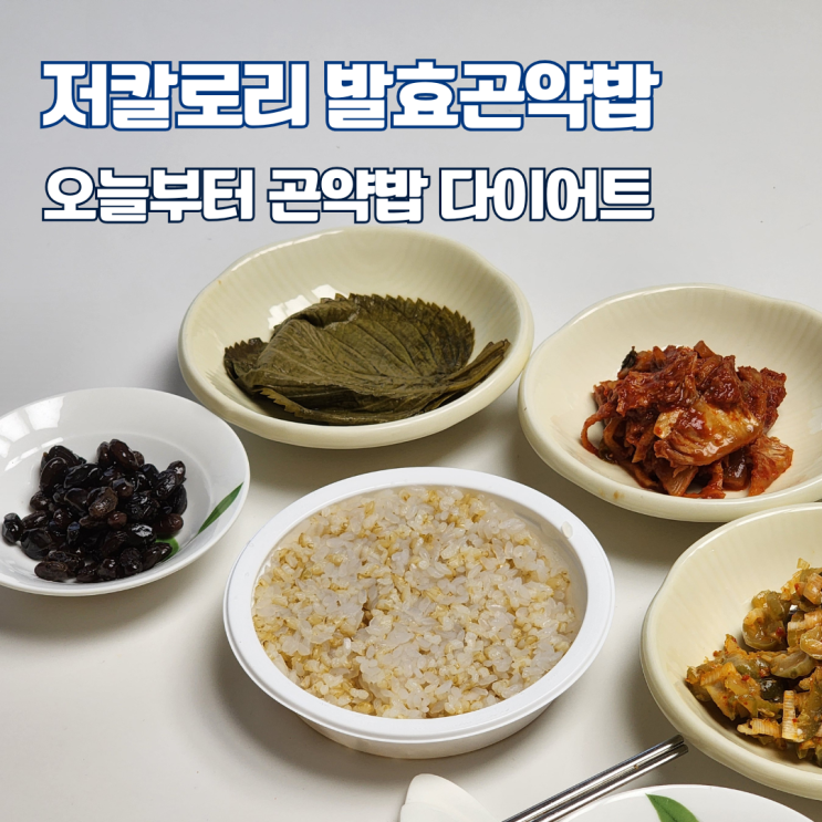  다이어트 식단관리 음식 추천! 곤약다이어트 오늘부터 저칼로리발효곤약밥
