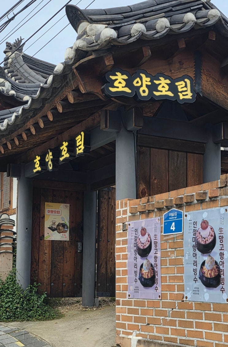  광주 남구 애견동반 카페, 항아리인절미팥빙수 맛집 호양호림