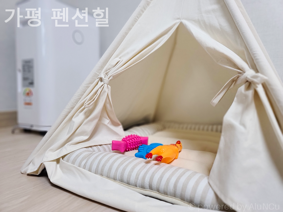 펜션힐 사진 6