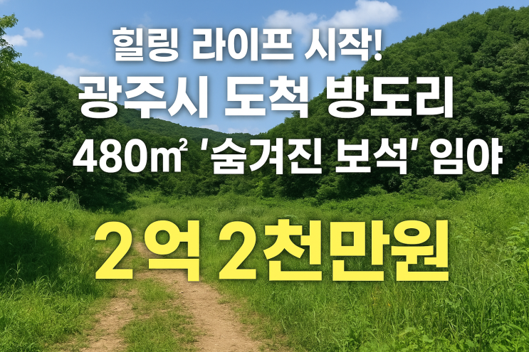  광주 도척면 방도리 480, 2.2억! 자연 속 '숨겨진 보석' 전원주택 임야 주인을 찾습니다.
