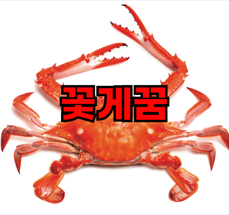 [해몽의 神] 꽃게(대게)가 꿈에 나타날 때 상황별 의미와 해몽 TOP 5