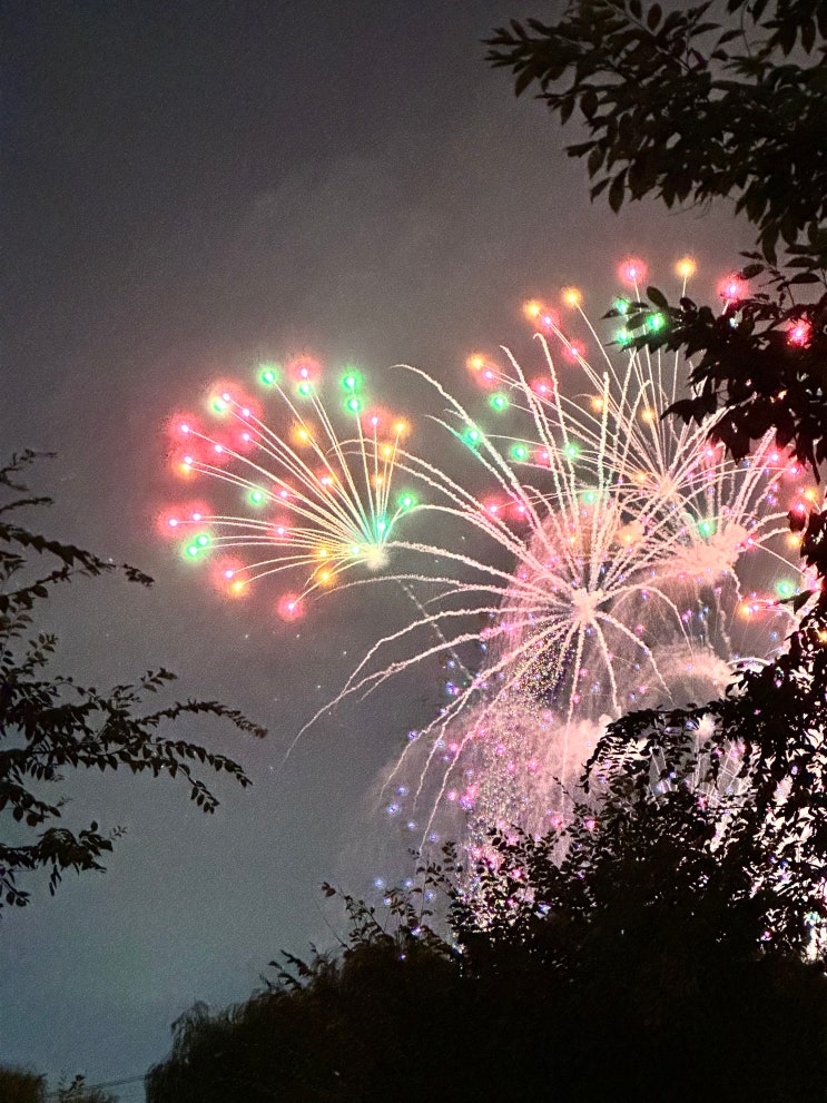  여의도 불꽃축제 자리잡기 고생담 이촌한강공원 후기 [서울세계불꽃축제]