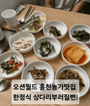  오션월드 홍천농가맛집 한정식 상다리부러질뻔!