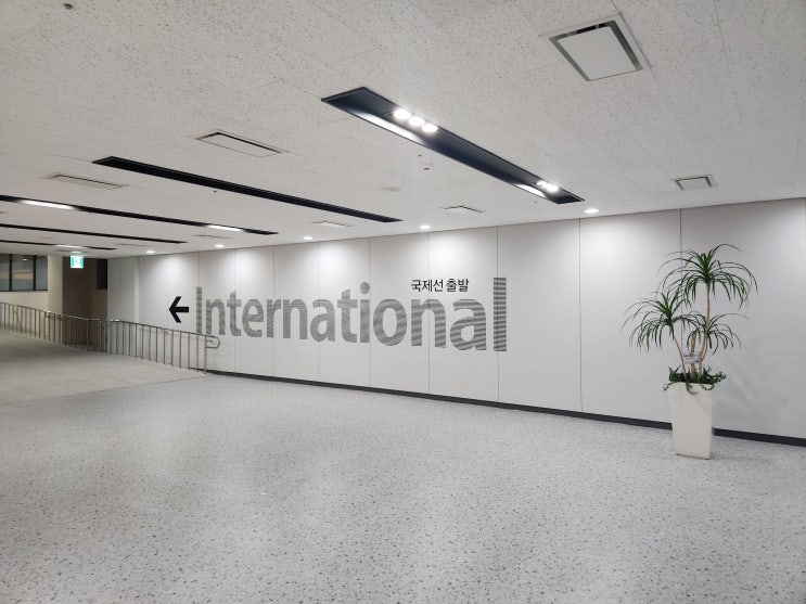  대구공항 이용 장점 단점 주차장 이용
