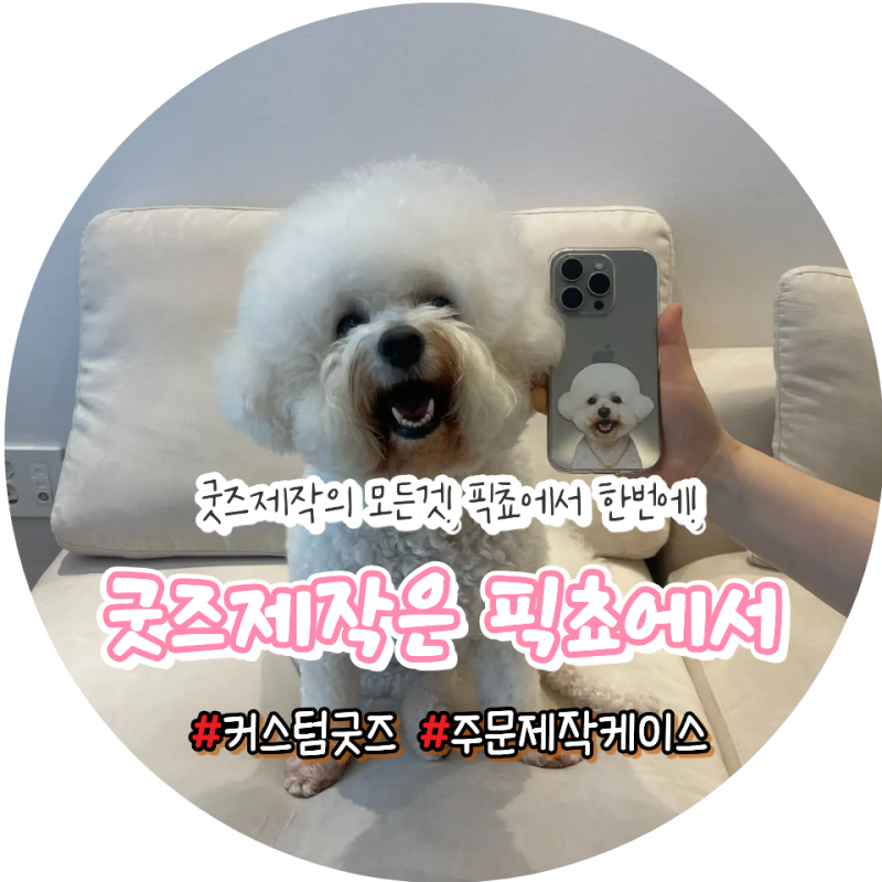 [굿즈제작] 핸드폰젤리케이스 픽쵸에서 주문 제작했어요