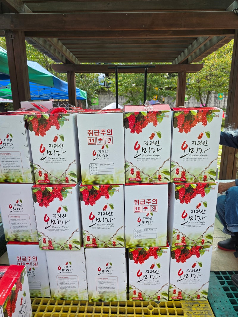 농뚜레일로 떠난 함양 농촌체험여행 제10회 지리산 함양 백전오미자 축제