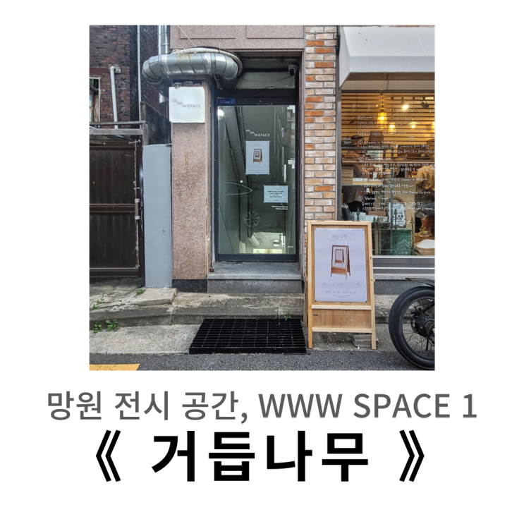  www space 1, 안지민 은신영 허정원 그룹전 《 거듭나무 》방문기