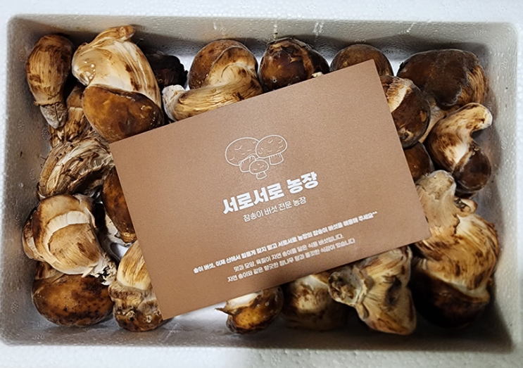  서로서로농장 참송이버섯 1kg 먹는법 보관법 손질법 완벽 가이드