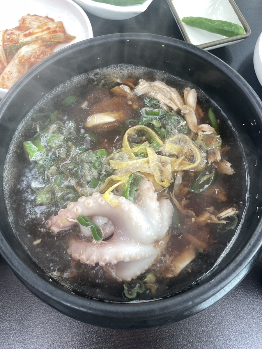 천년의황칠 사진 6