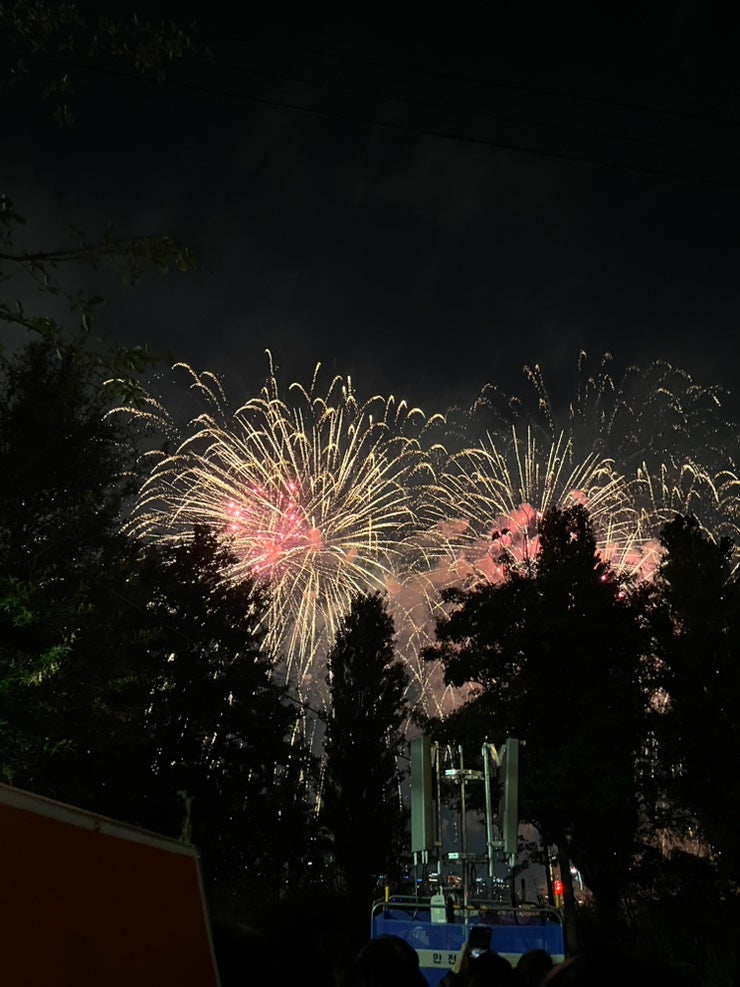 2025년 불꽃축제 이촌한강공원에서 보고 오기