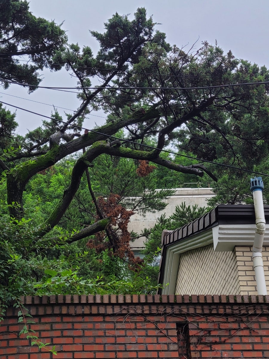 모내리쌈밥전문점 사진 2