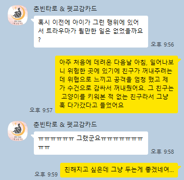  타로 를 통한 우리집 고양이 마음 알기