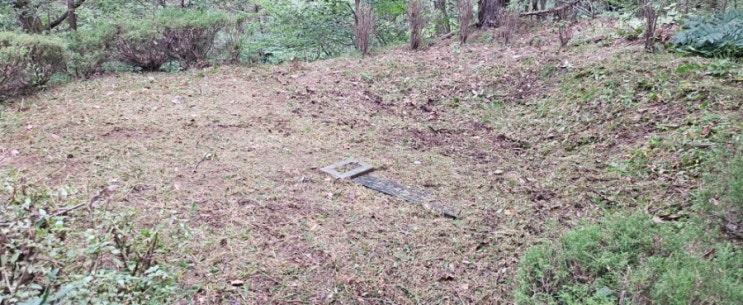  울산 울주군율리산56. 평비석묘 1기 10평 미만 벌초제초대행("울산벌초대행")