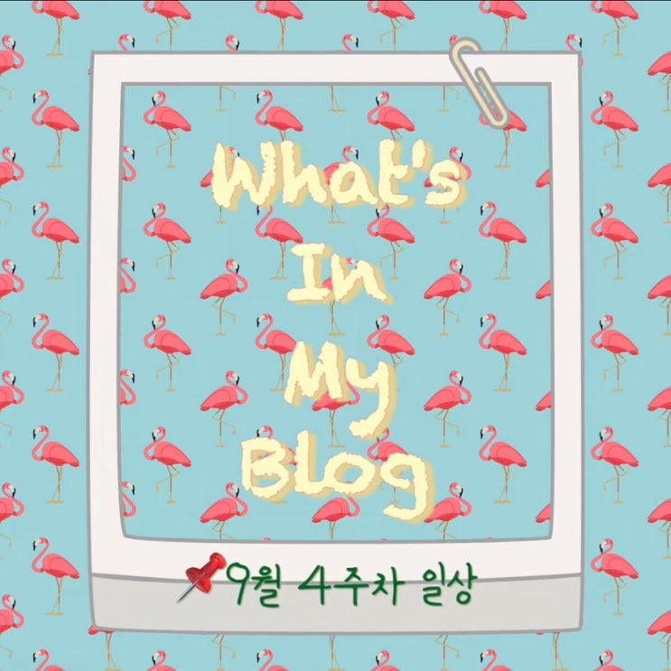  9월 4주 차 일상 정리 왓츠인마이블로그 블챌