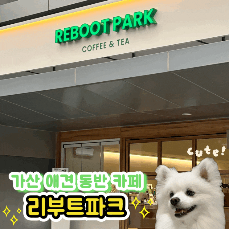  가산디지털단지 아침 일찍 문을 여는 애견 동반 카페 리부트파크