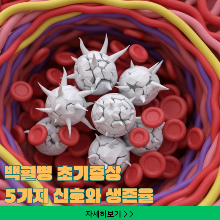  백혈병 초기증상 놓치면 안 되는 5가지 신호와 최신 생존율