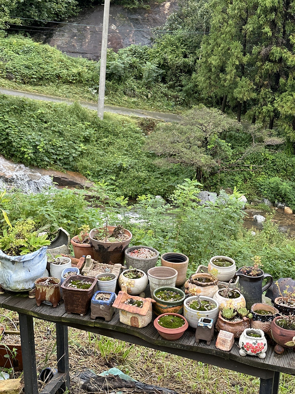 여미도예 사진 6