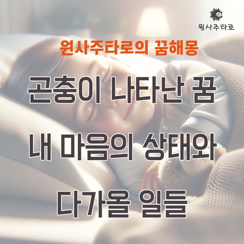 곤충이 나타난 꿈, 내 마음의 상태와 다가올 일들
