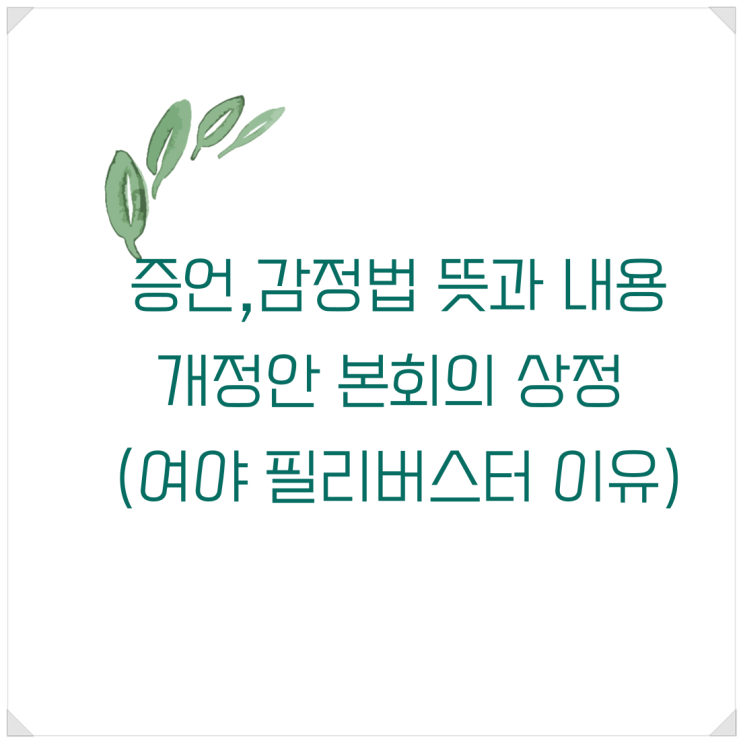 증언,감정법 뜻과 내용, <b>개정안</b> 본회의 상정 (여야 <b>필리버스터</b>... 