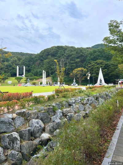 사진 5