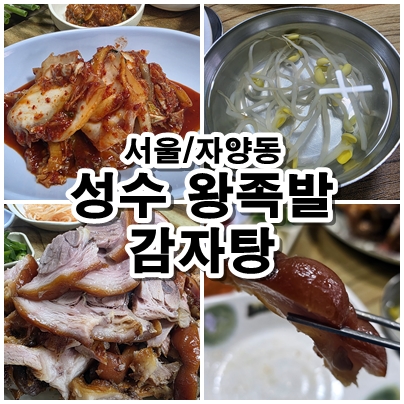  자양동 성수왕족발감자탕 점심과 저녁 모두 어울리는 메뉴