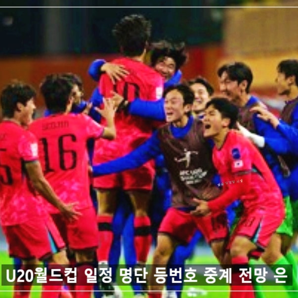 U20월드컵 일정 명단 등번호 중계 전망 은