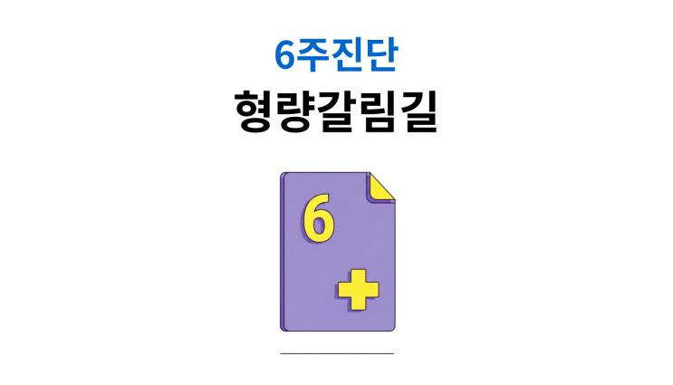  12대중과실교통사고 처벌수위 6주 진단이 갈림길