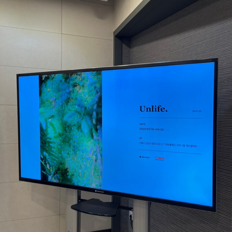 [서울 강남구] 사진 전시장 ‘캐논갤러리’ (이옥토 사진전: Unlife)