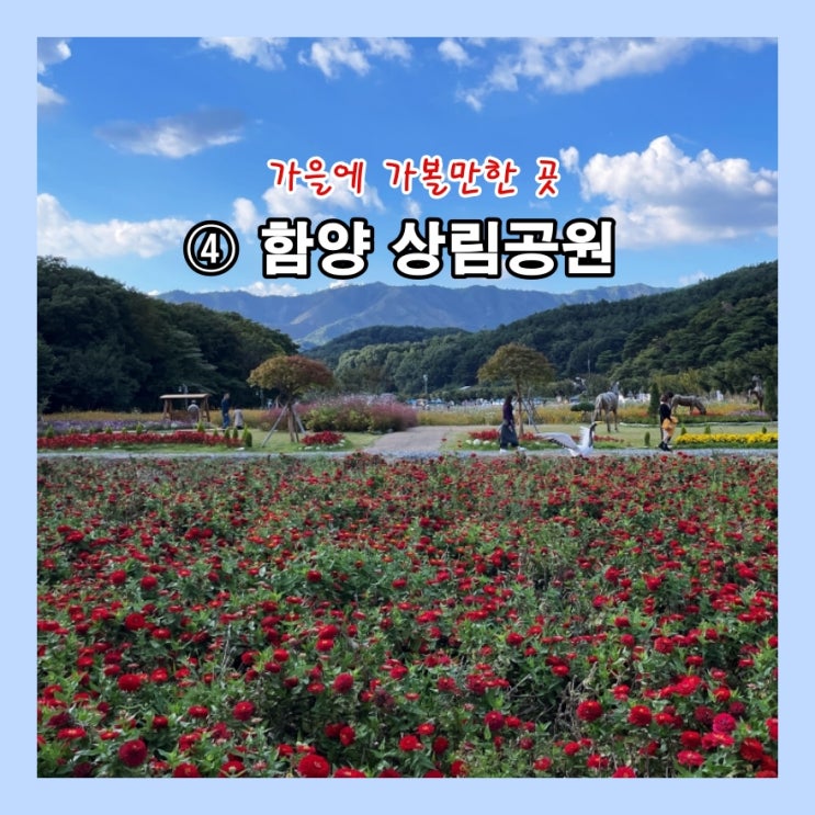  가을에 가볼만한 곳 ④ 함양 상림공원