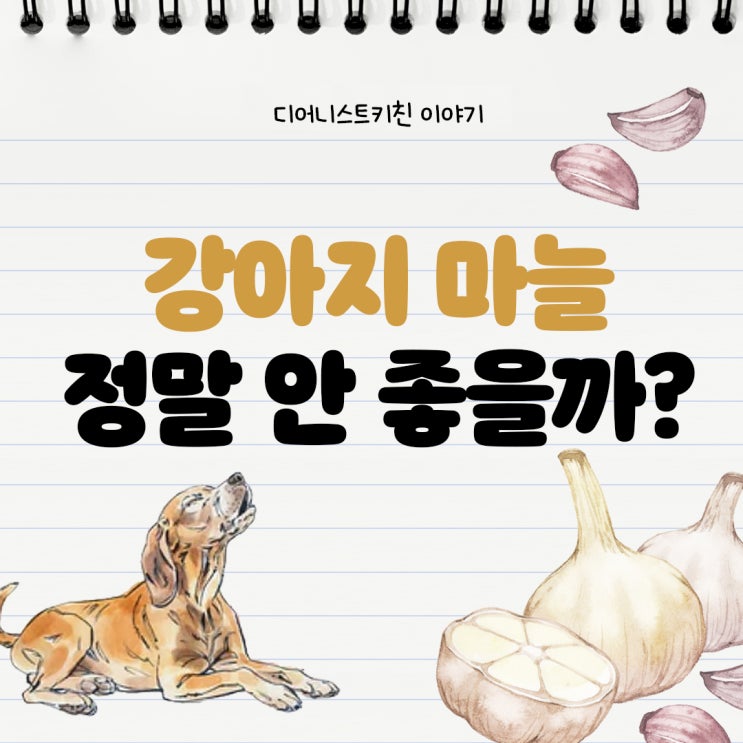  강아지 마늘 먹음 어떻게 되나요? 정말 안 좋나요 사실과 오해 알아보기
