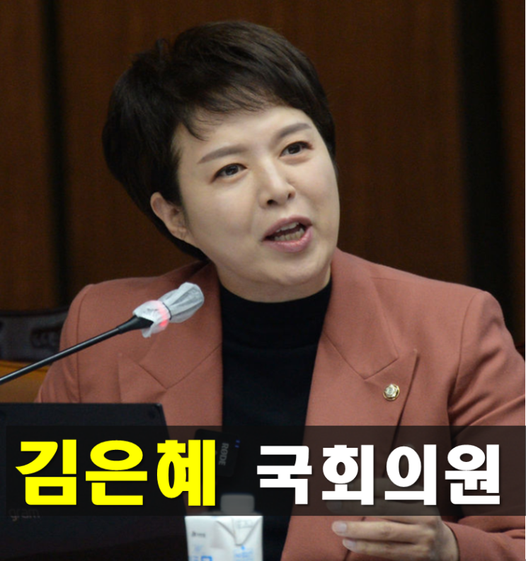 김은혜 프로필,나이 고향 학력 국민의힘 <b>국회</b> 의원