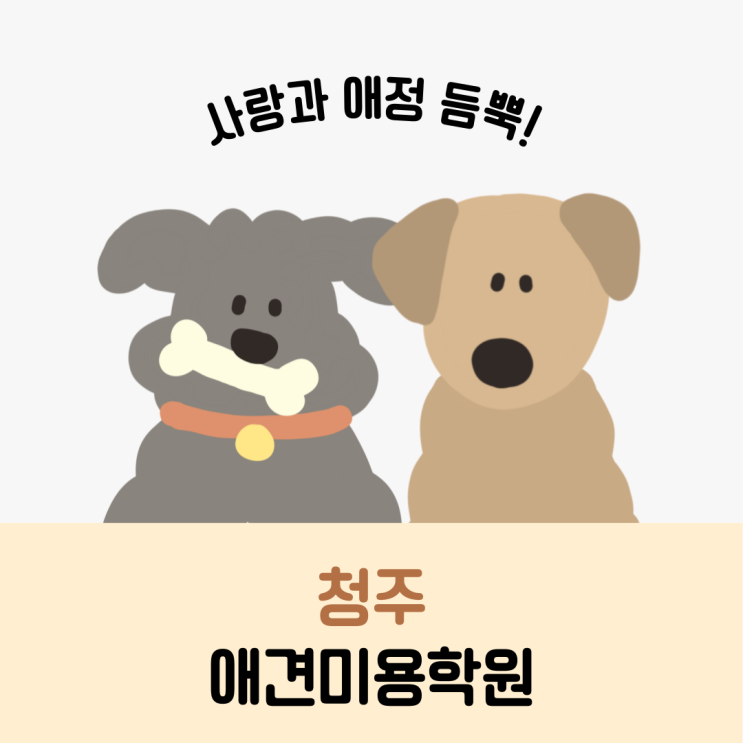  청주애견미용학원 고민 중이라면? 꼭 체크하기