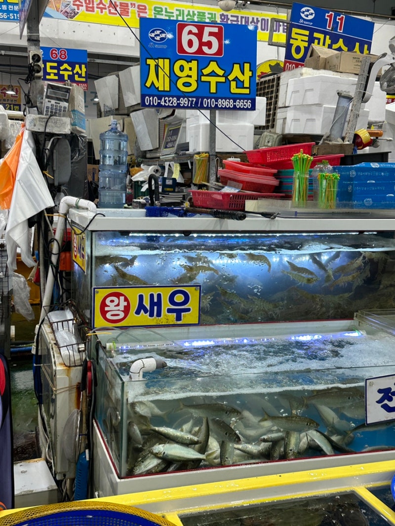 광주 매월동 수산시장 대하/꽃게/전어 구매 후기