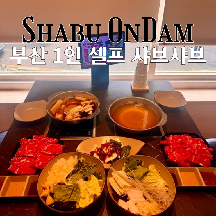  대연동 맛집 샤브온담 : 혼밥도 가능한 1인 셀프 샤브샤브 전문점 [부산 남구]