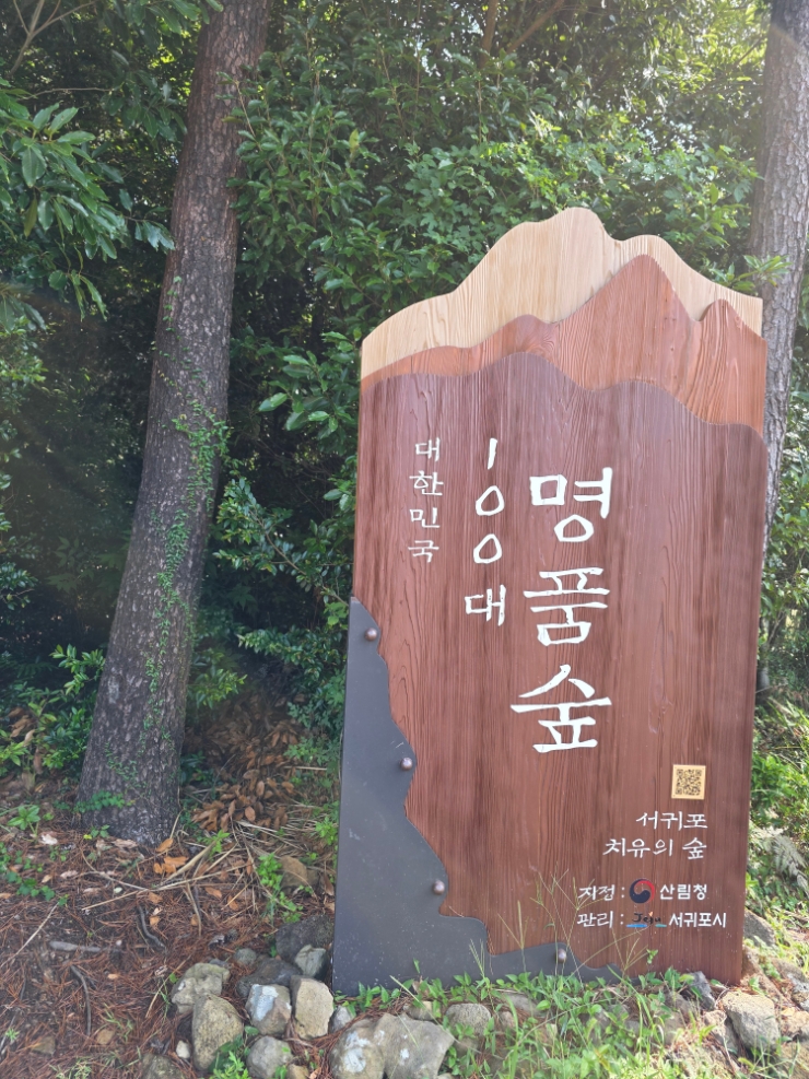  푸른숲 우거진 자연환경 힐링은 치유의 숲 에서(제주도 서귀포)